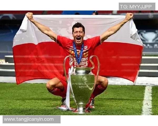 众星闪耀绿茵情深以足球为纽带定格荣耀瞬间