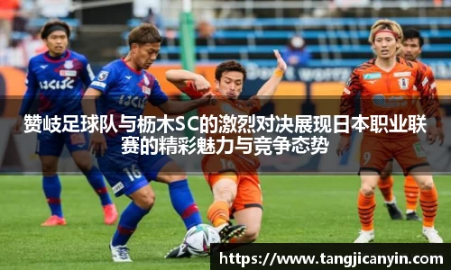 z6com尊龙凯时官方